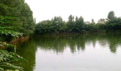 شهرستان گلوگاه