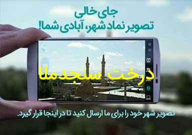 روستای درخت سنجدملا