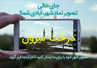 روستای درخت سرون