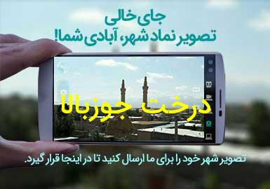 روستای درخت جوزبالا