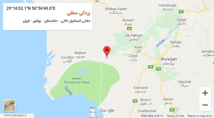 روستای زردکی سفلی بر روی نقشه
