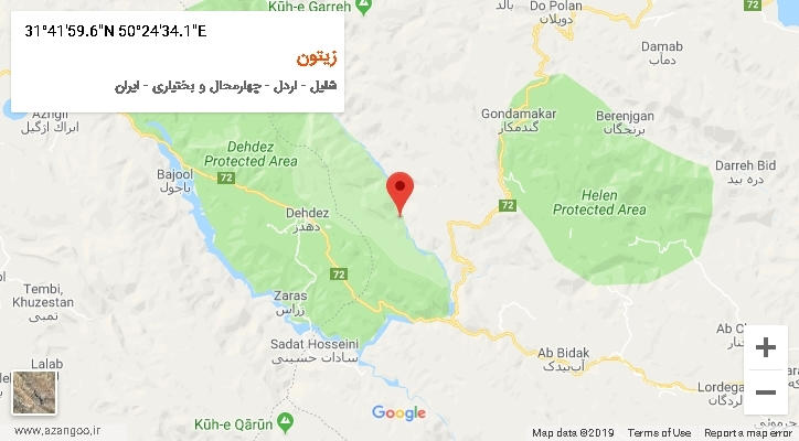 روستای زیتون بر روی نقشه