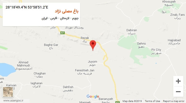 روستای باغ مصلی نژاد بر روی نقشه