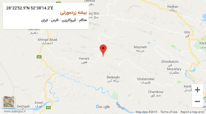 روستای بیشه زردمورتی بر روی نقشه