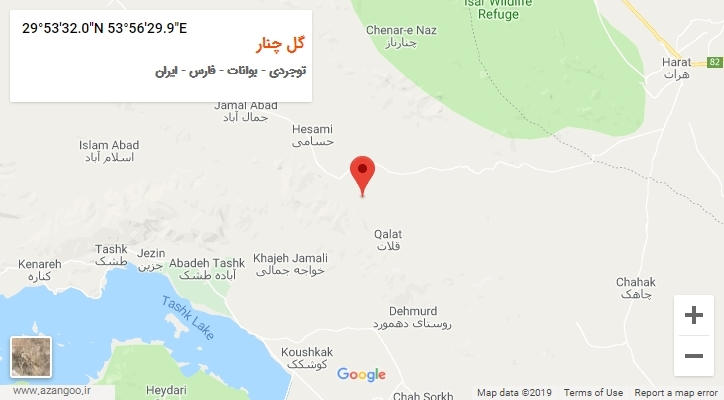 روستای گل چنار بر روی نقشه