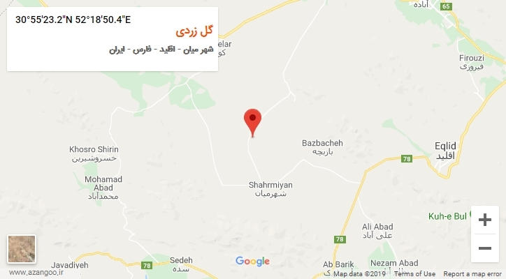 روستای گل زردی بر روی نقشه