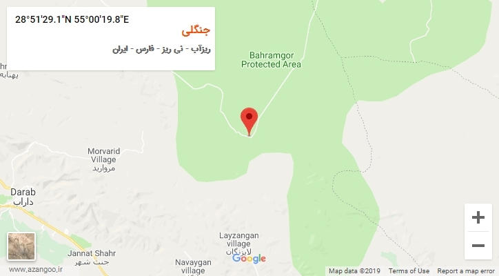 روستای جنگلی بر روی نقشه