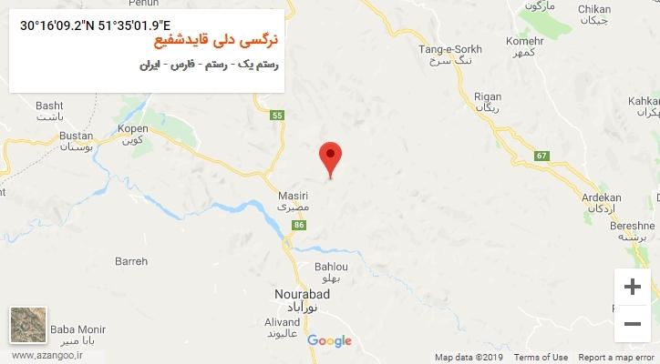 روستای نرگسی دلی قایدشفیع بر روی نقشه