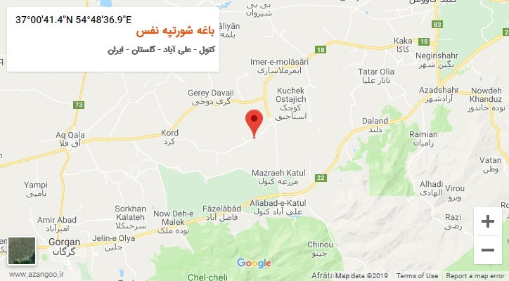 روستای باغه شورتپه نفس بر روی نقشه