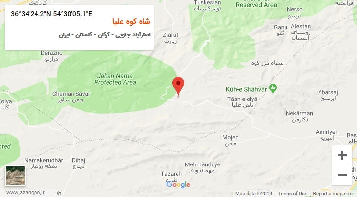 روستای شاه کوه علیا بر روی نقشه