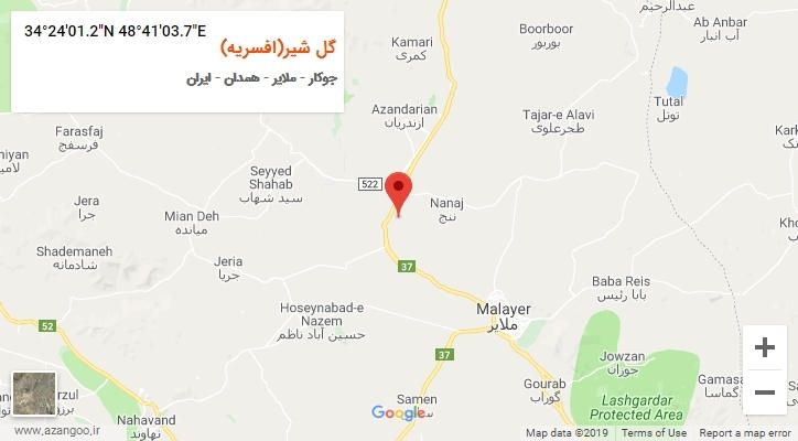 روستای گل شیر(افسریه) بر روی نقشه