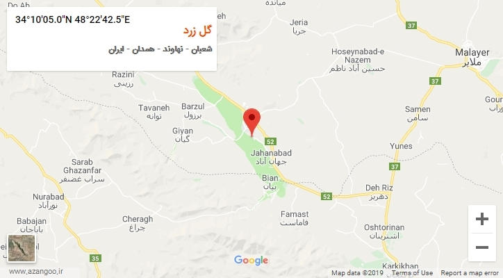 روستای گل زرد بر روی نقشه