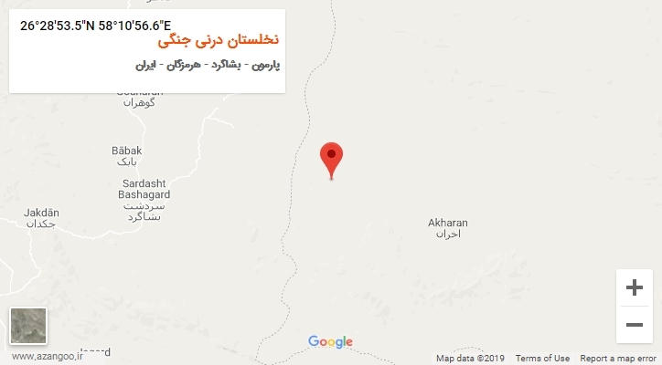روستای نخلستان درنی جنگی بر روی نقشه