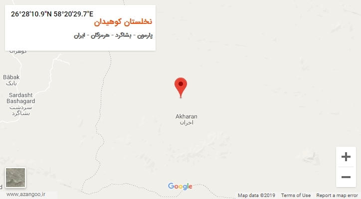روستای نخلستان کوهیدان بر روی نقشه