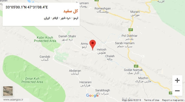روستای کل سفید بر روی نقشه