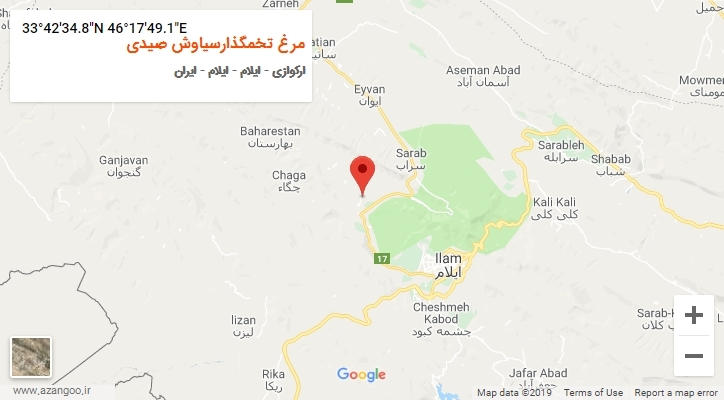 روستای مرغ تخمگذارسیاوش صیدی بر روی نقشه