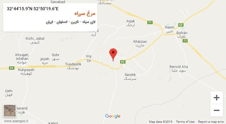 روستای مرغ سرراه بر روی نقشه