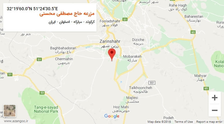 روستای مزرعه حاج مصطفی محسنی بر روی نقشه