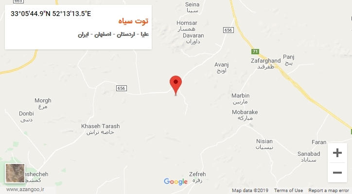 روستای توت سیاه بر روی نقشه