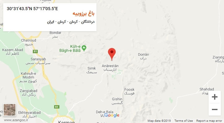 روستای باغ برزوییه بر روی نقشه
