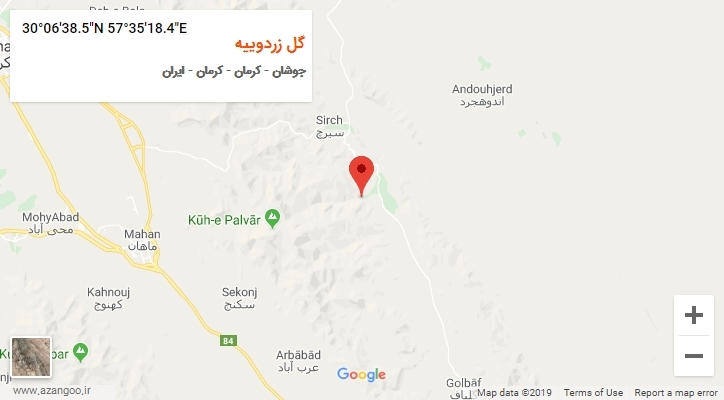روستای گل زردوییه بر روی نقشه