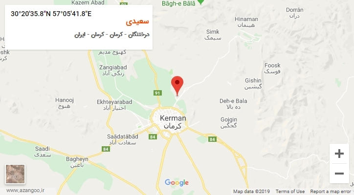 روستای سعیدی بر روی نقشه