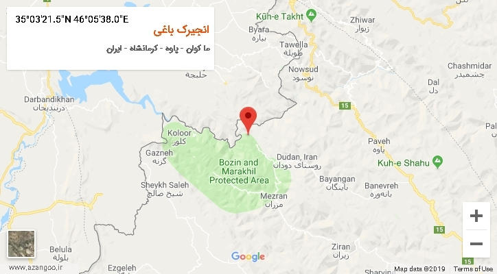 روستای انجیرک باغی بر روی نقشه