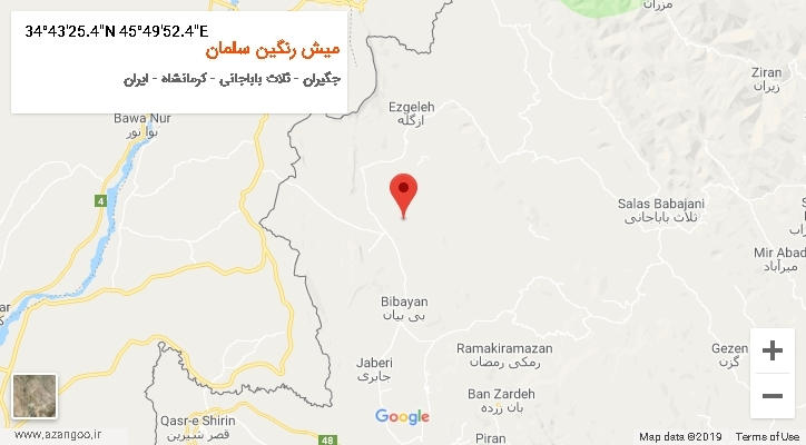 روستای میش رنگین سلمان بر روی نقشه