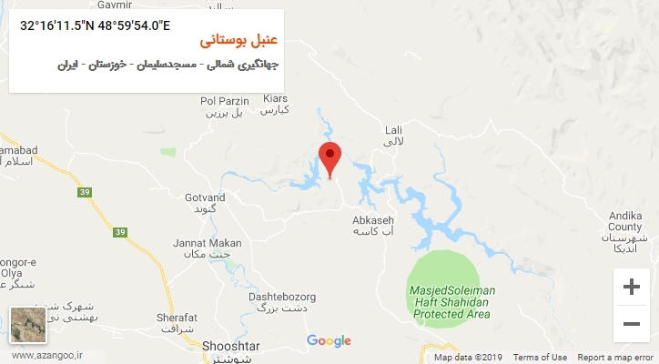 روستای عنبل بوستانی بر روی نقشه