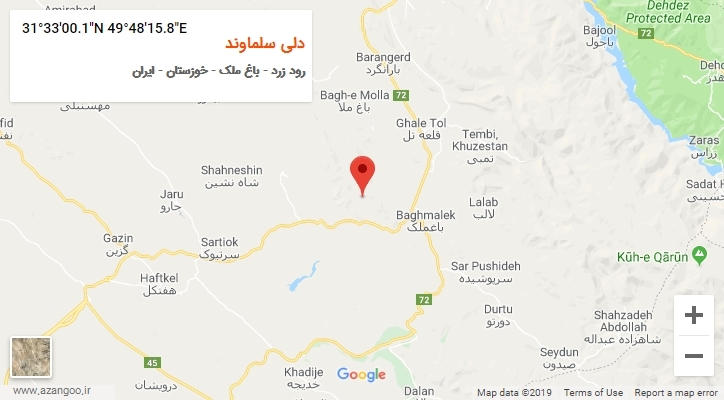 روستای دلی سلماوند بر روی نقشه
