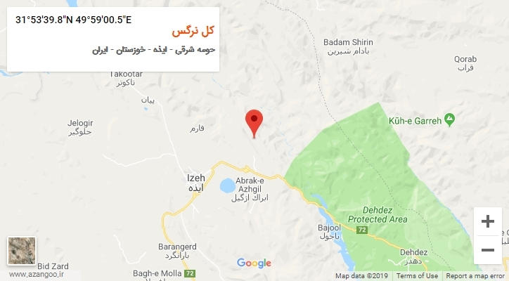 روستای کل نرگس بر روی نقشه