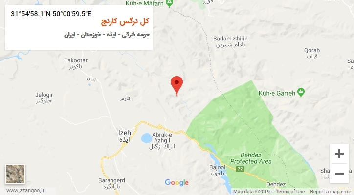روستای کل نرگس کارنج بر روی نقشه