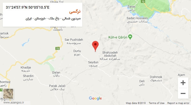 روستای نرگسی بر روی نقشه