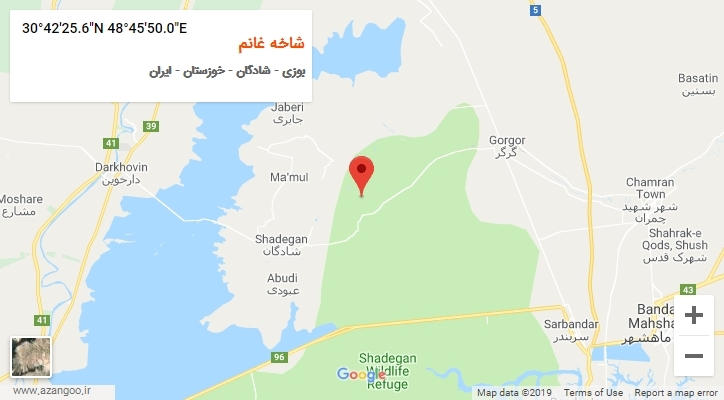 روستای شاخه غانم بر روی نقشه