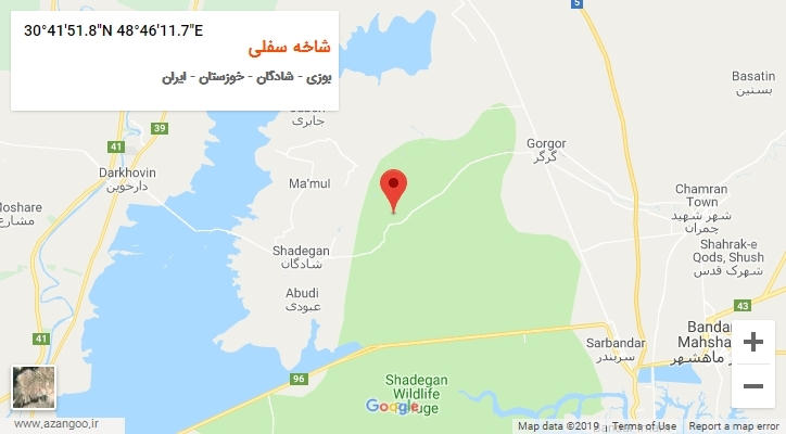 روستای شاخه سفلی بر روی نقشه