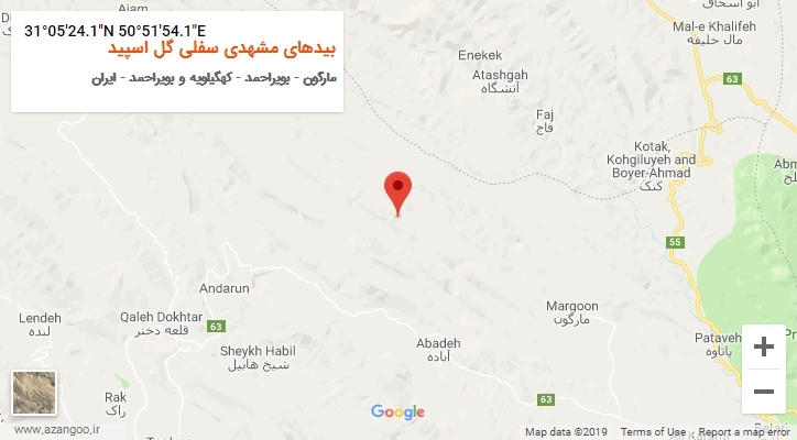 روستای بیدهای مشهدی سفلی گل اسپید بر روی نقشه