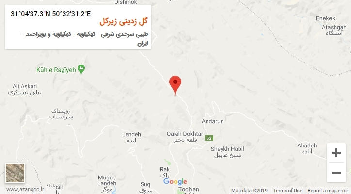روستای گل زدینی زیرکل بر روی نقشه