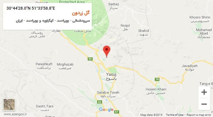 روستای گل زردون بر روی نقشه