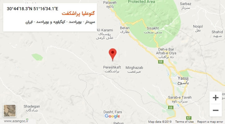 روستای گنوعلیا پراشکفت بر روی نقشه
