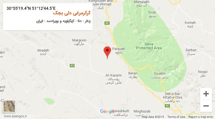 روستای کرکرمرغی دلی بجک بر روی نقشه