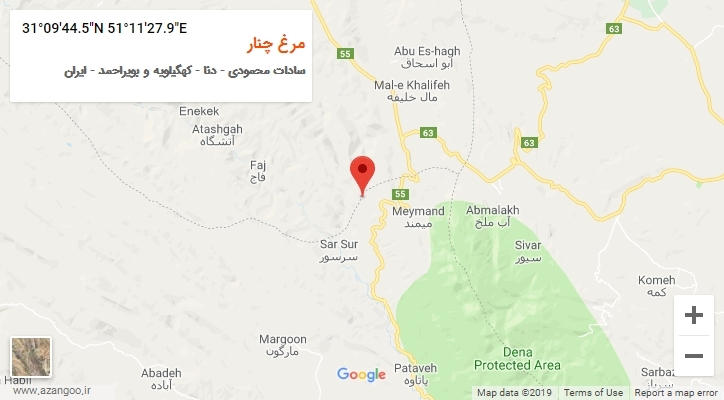 روستای مرغ چنار بر روی نقشه
