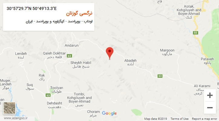 روستای نرگسی گوزنان بر روی نقشه