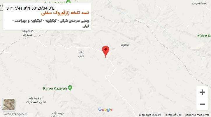 روستای نسه تلخه زارگوروک سفلی بر روی نقشه