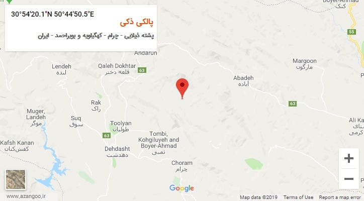 روستای پالکی ذکی بر روی نقشه
