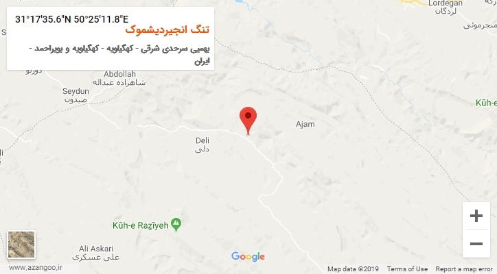روستای تنگ انجیردیشموک بر روی نقشه
