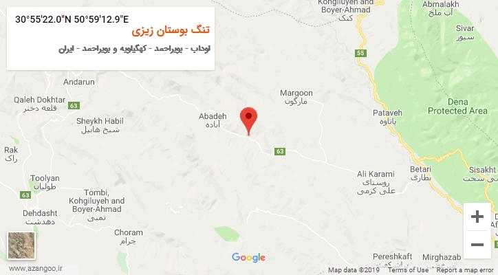 روستای تنگ بوستان زیزی بر روی نقشه