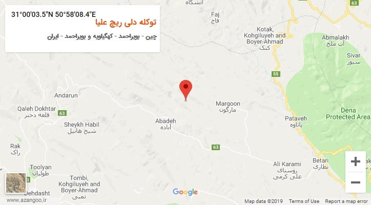 روستای توکله دلی ریچ علیا بر روی نقشه