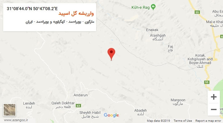 روستای وارریشه گل اسپید بر روی نقشه