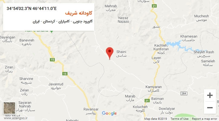 روستای کاودانه شریف بر روی نقشه
