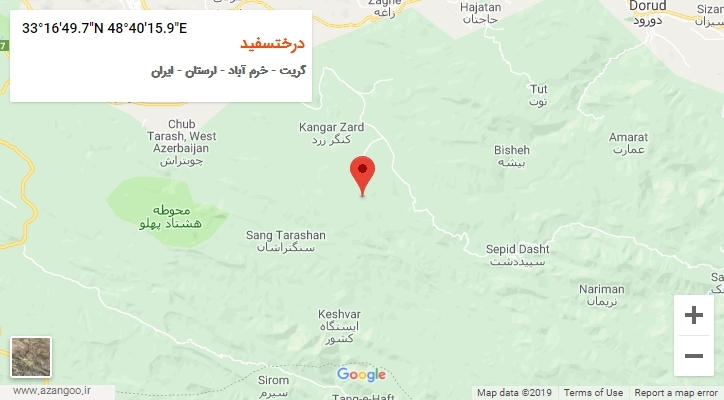 روستای درختسفید بر روی نقشه